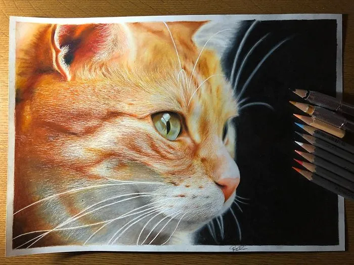 23 Hyper-Realistic Artworks Of Cats That Are Hard To Believe Aren't Photographs By A Japanese Artist
