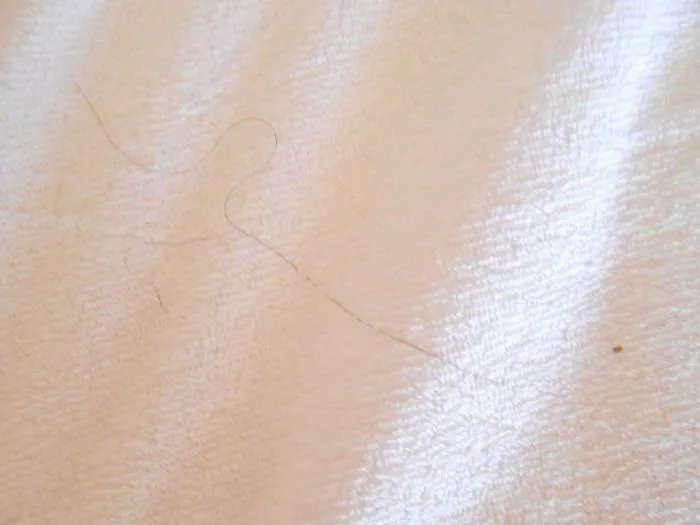 The trifecta: a pube, hair and blood