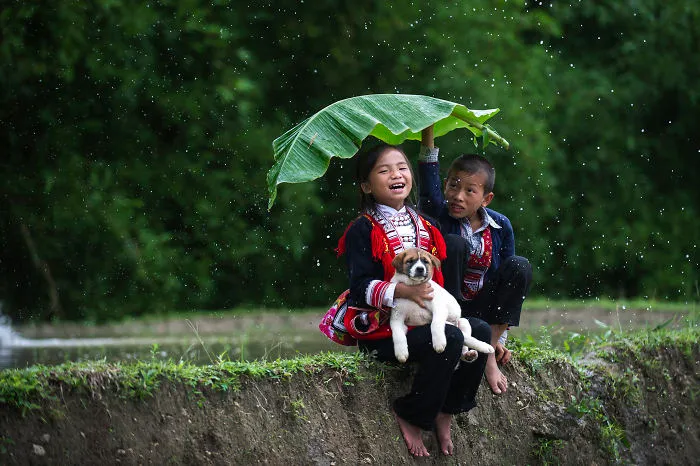 Lovely In The Rain