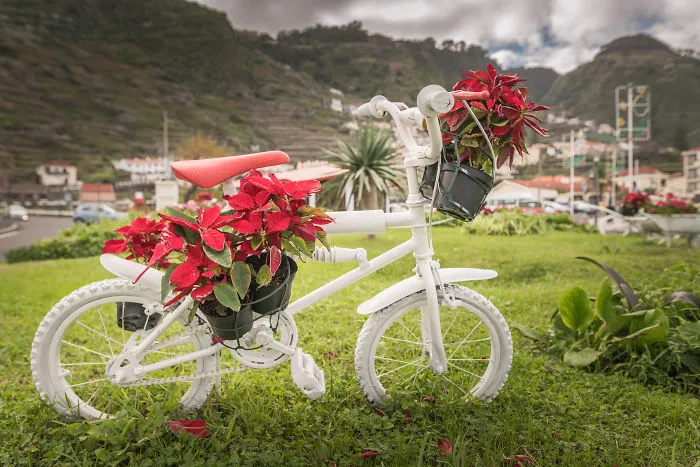 Madeira, Portugal