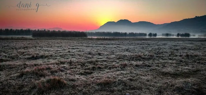 I Take Pictures Of Nature On My Mobile Phone
