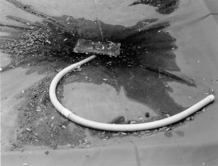 My Emotional Photographic Exploration Of The Loss Of My Grandparents' Home