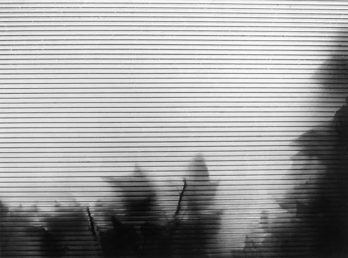 My Emotional Photographic Exploration Of The Loss Of My Grandparents' Home