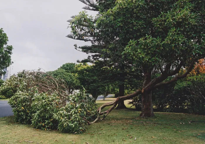 My Emotional Photographic Exploration Of The Loss Of My Grandparents' Home