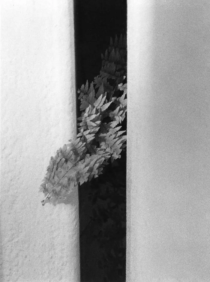 My Emotional Photographic Exploration Of The Loss Of My Grandparents' Home