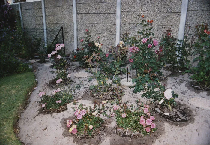 My Emotional Photographic Exploration Of The Loss Of My Grandparents' Home