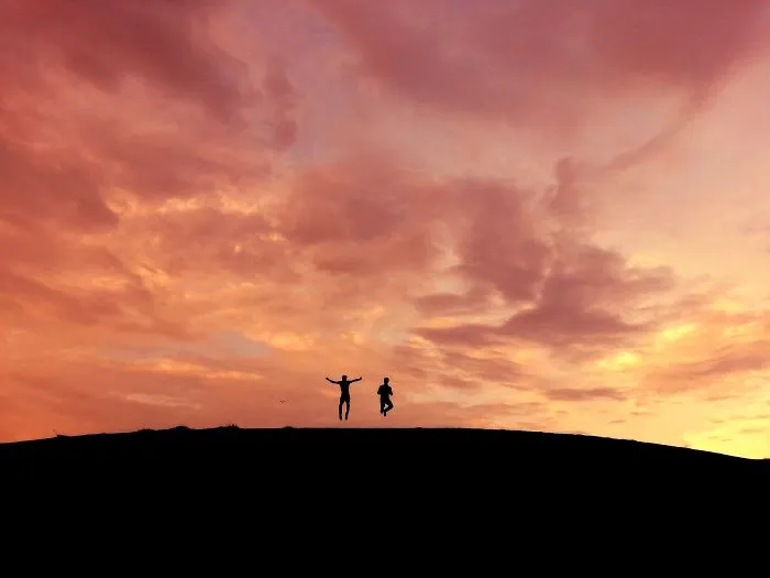 Try To Fly