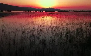 I Take Pictures Of Nature On My Mobile Phone