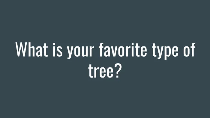 My 10-Question Quiz For Everyone To Get To Know Each Other