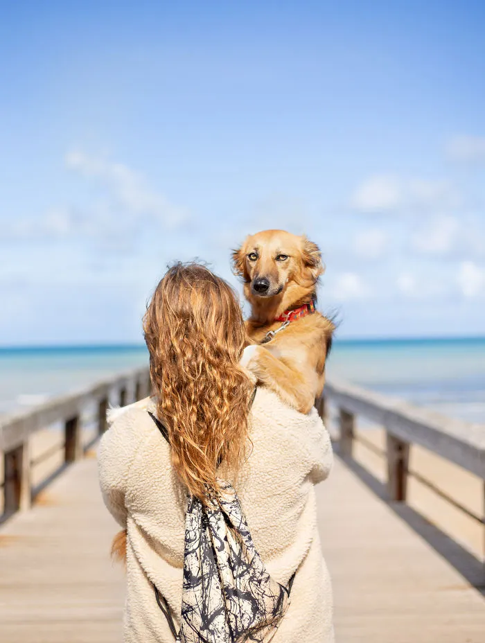 I Adopted Tofu, A Shelter Dog Who Is Often Too Scared To Walk, So I Carry Her Everywhere (30 Pics)