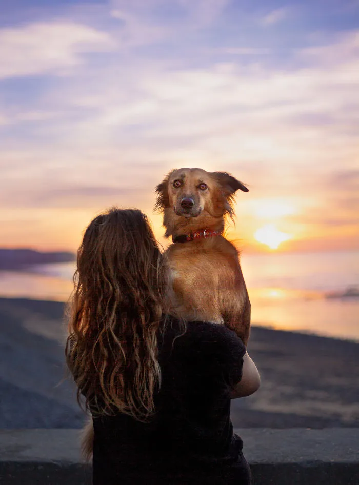 I Adopted Tofu, A Shelter Dog Who Is Often Too Scared To Walk, So I Carry Her Everywhere (30 Pics)