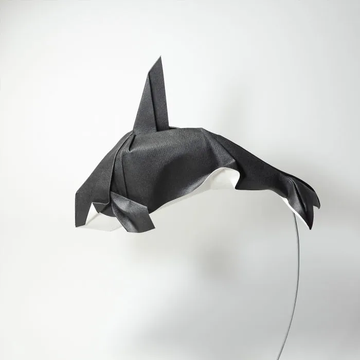 Killer Whale