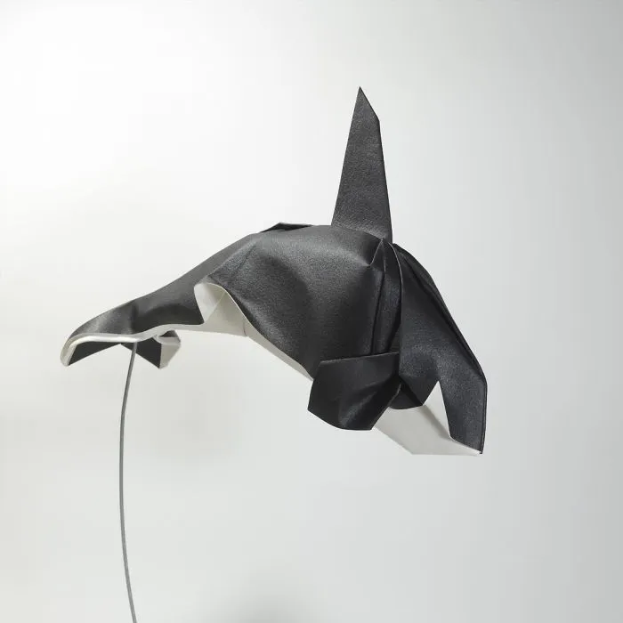 Killer Whale