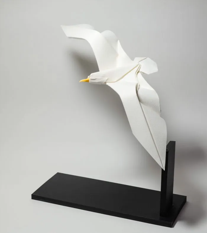Seagull