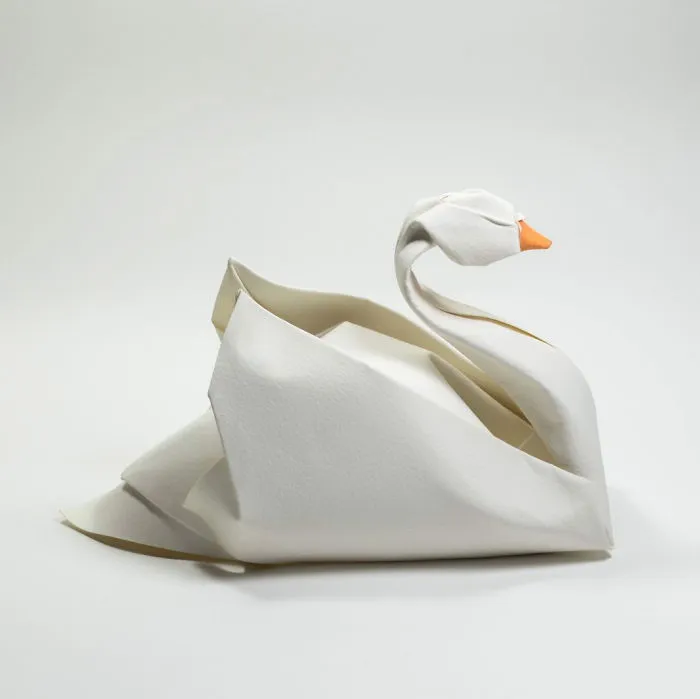 Swan