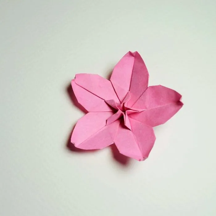 Cherry Blossom