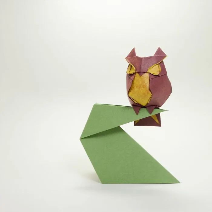 Owl 