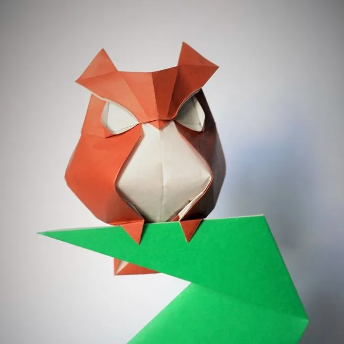 Owl 