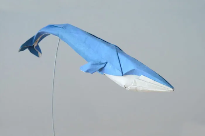 Blue Whale