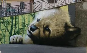 30 Pics Of 3D Street Art That Interacts With Its Surroundings, Created By Caiffa Cosimo