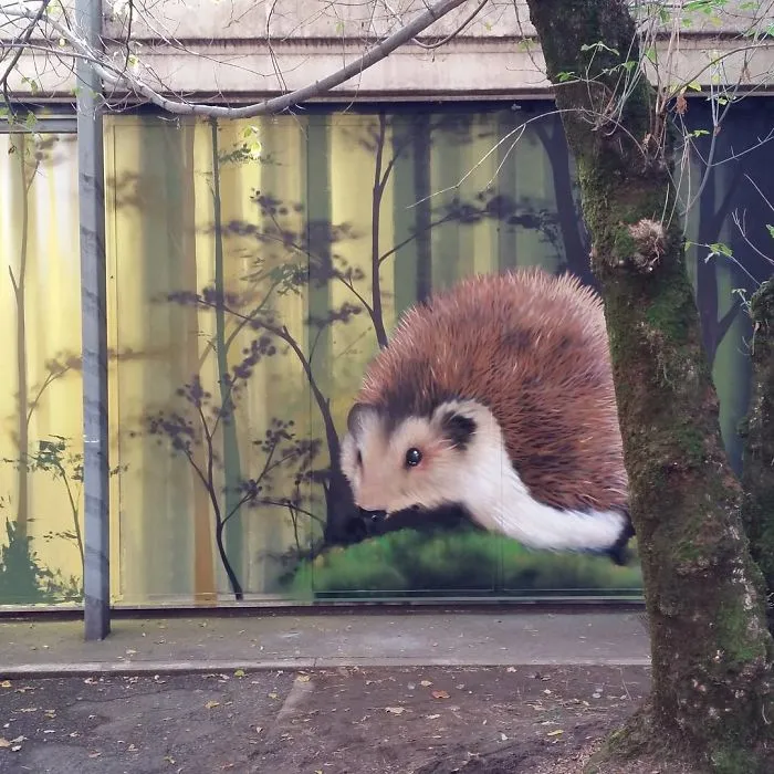 30 Pics Of 3D Street Art That Interacts With Its Surroundings, Created By Caiffa Cosimo