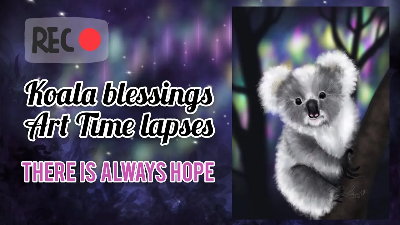 Koala Blessings Artwork, Art Time Lapse, And Products