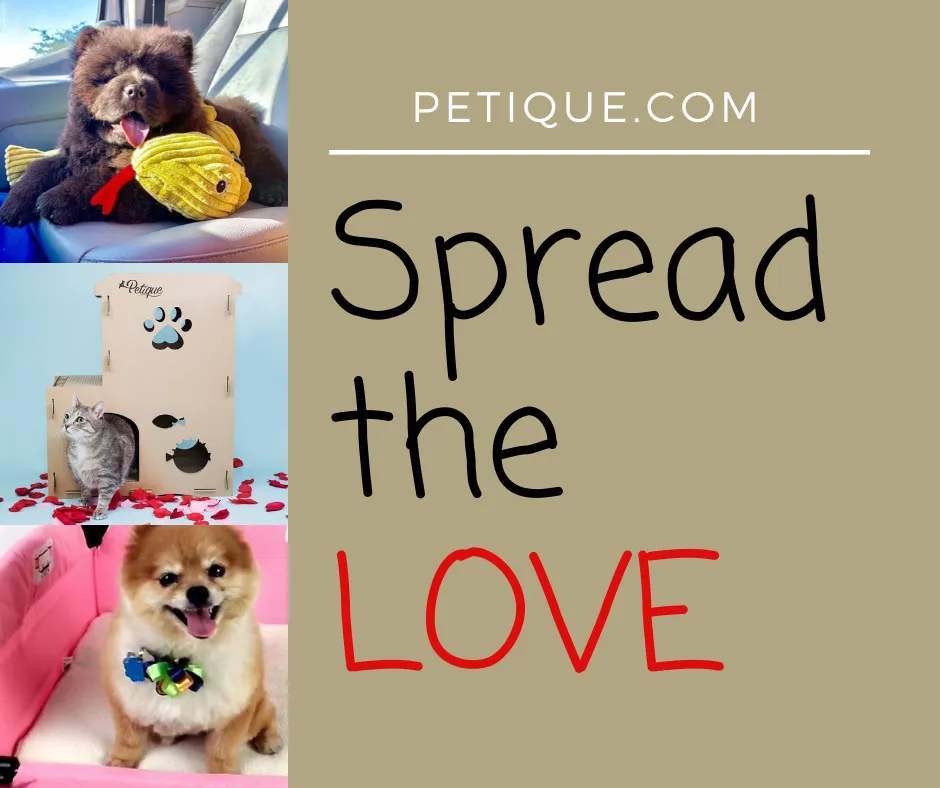 Spread The Love!