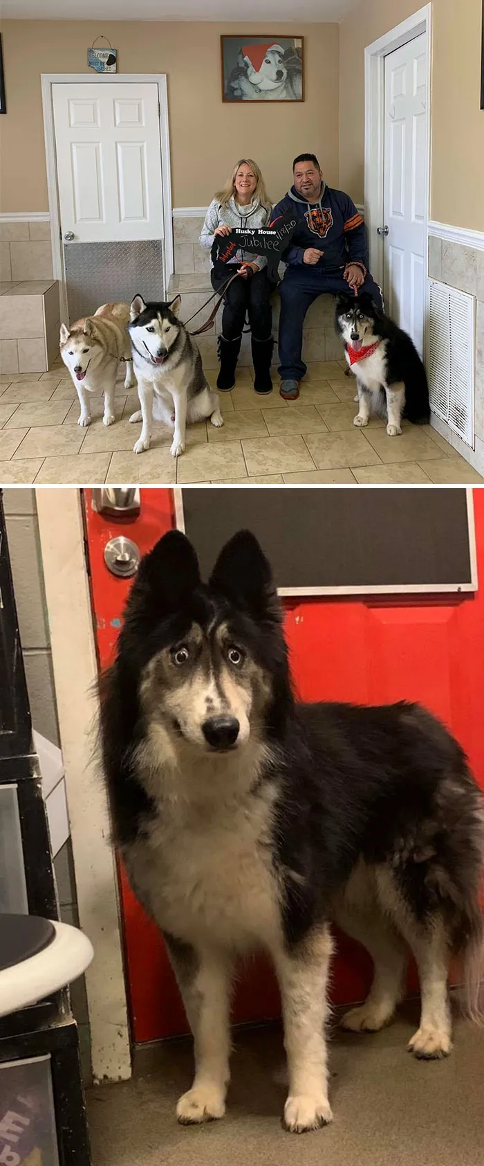 Jubilee Got Adopted!!!