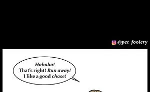 30 Funny Comics About Animals By Pet Foolery