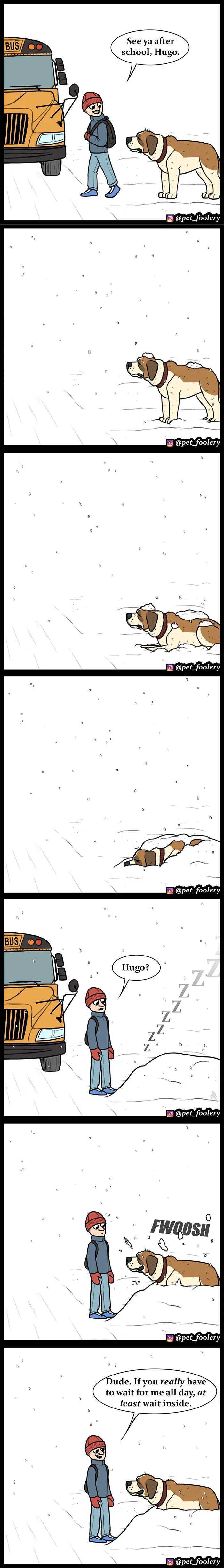 30 Funny Comics About Animals By Pet Foolery