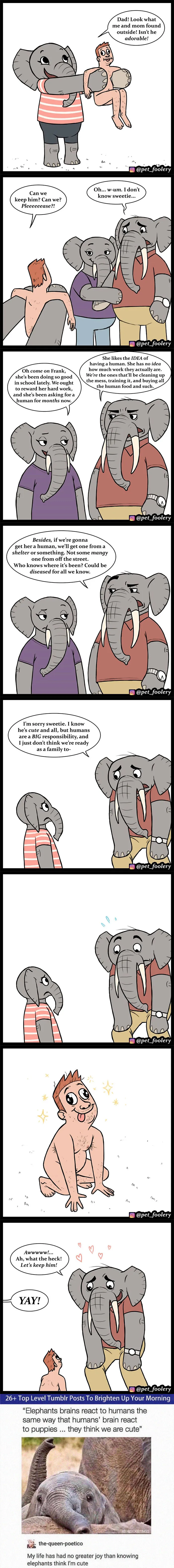 30 Funny Comics About Animals By Pet Foolery