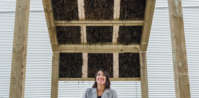 Architect Kathryn Larsen Tries Alternative Sustainable Building Material And Her Ideas Caught People's Imagination