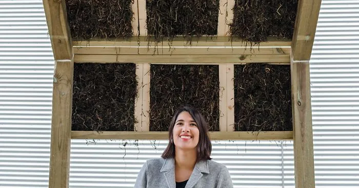 Architect Kathryn Larsen Tries Alternative Sustainable Building Material And Her Ideas Caught People's Imagination