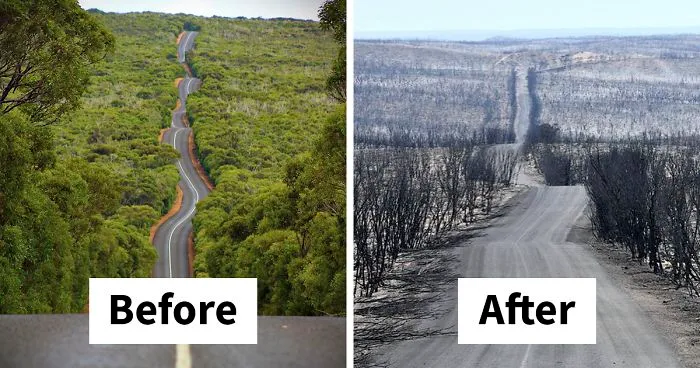 19 Then And Now Photos Of Australia Show How Much Damage The Fires Have Already Done