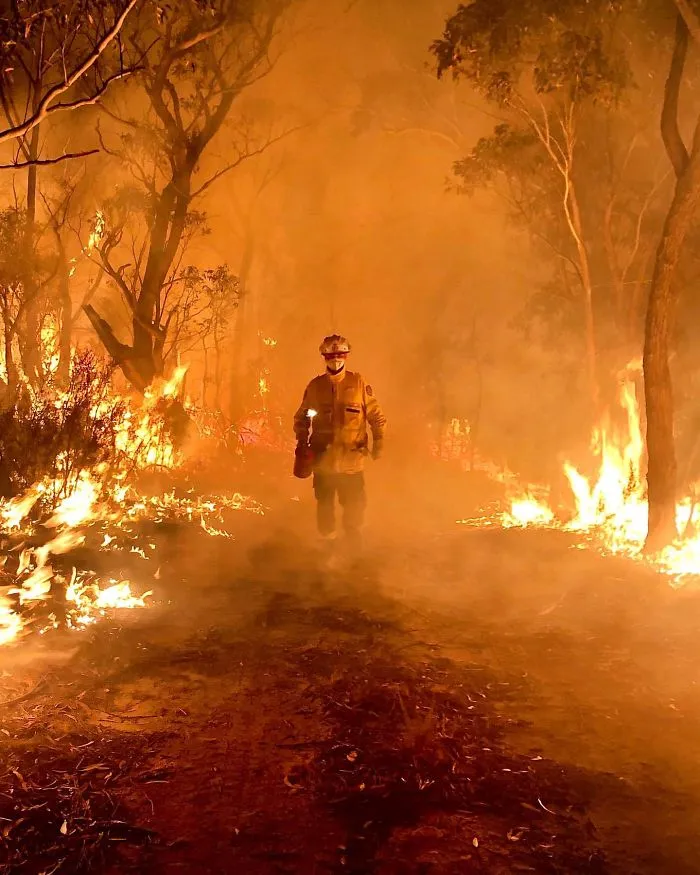 En medio del incendio