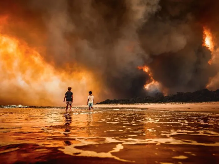 Australia Is Currently Engulfed By Bushfires ... Almost 2000 Houses Have Been Burnt 