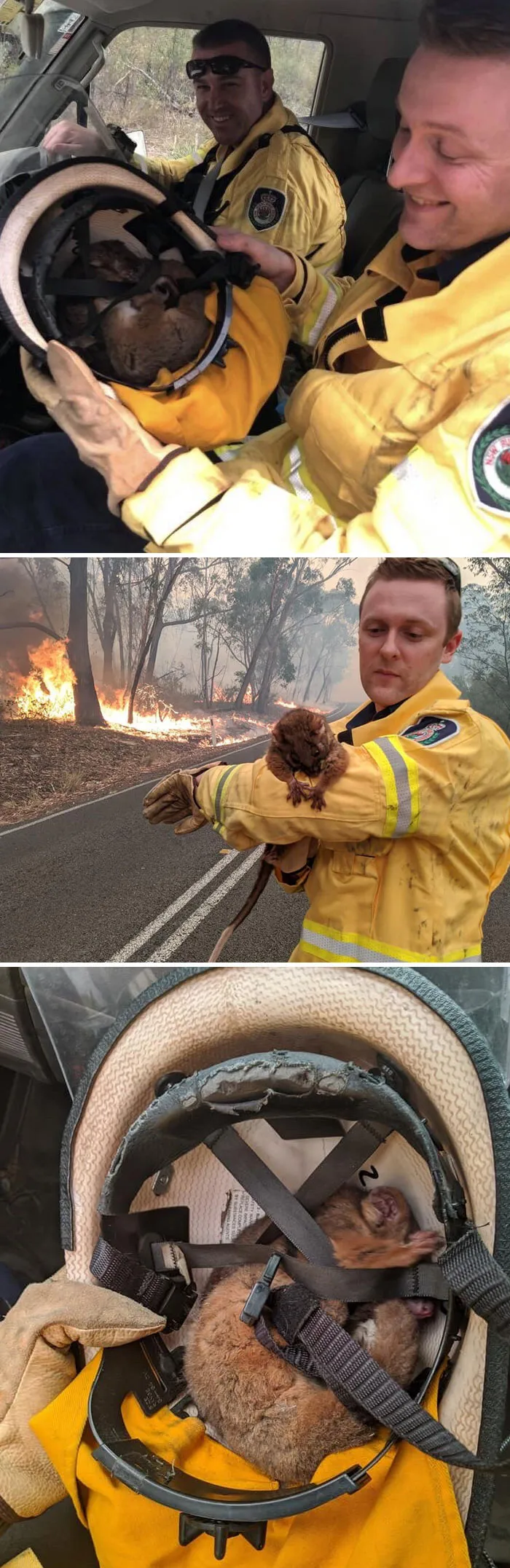 Bomberos voluntarios al rescate