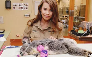 Since Half A Billion Animals Were Potentially Lost In Australian Bushfires, The Irwin Family Stepped In And Already Helped Over 90,000 Animals