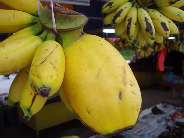 3 Bananas In 1 Banana
