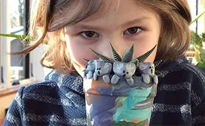 This 6-Year-Old Is Raising Money For Australia’s Bushfires And He Raised Over $250K In 10 Days
