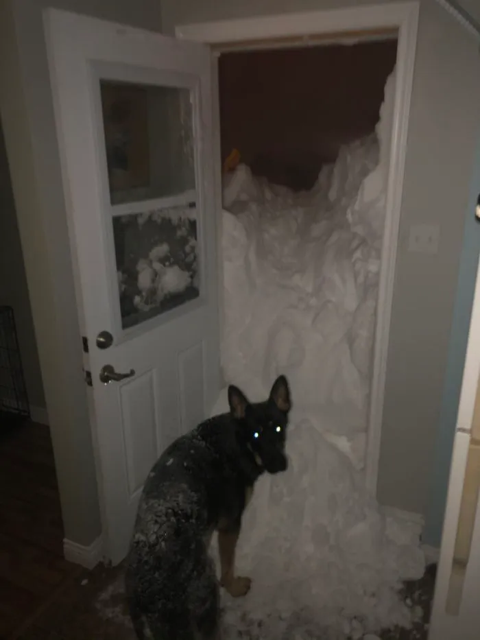 What Is This Dad?