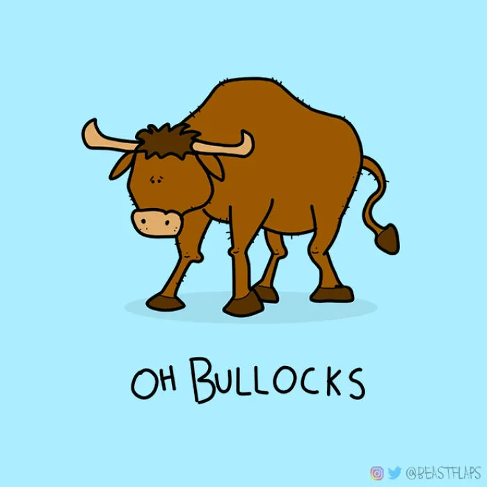 17 Pics Of Funny Grumpy Animals That I Will Continue To Draw Each Day Throughout 2020