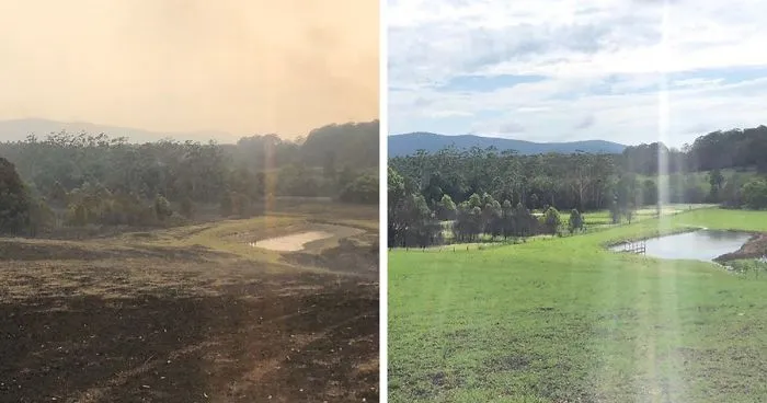 Russell Crowe Shares Before And After Pics Of His Fire Devastated Land After A Weekend Of Rain