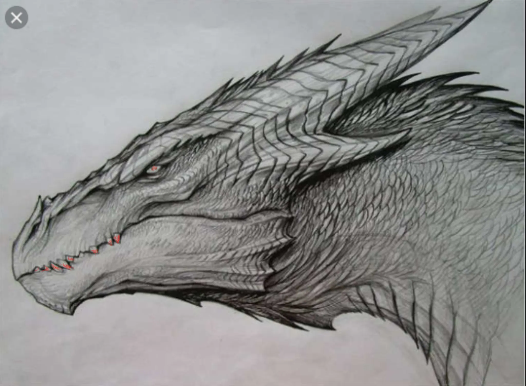 Digital Art