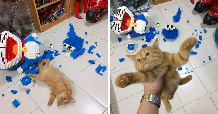 Cat Destroys A 2,432-Piece Doraemon Figure That Took Its Owner 7 Days To Make, Doesn't Seem To Regret It