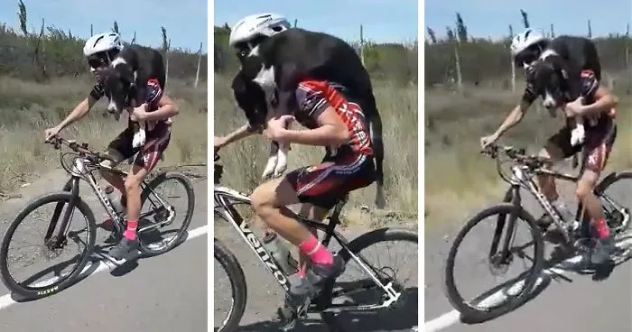 Cyclist Stops Mid-Practice To Help A Dehydrated Dog, Ends Up Carrying It On His Back