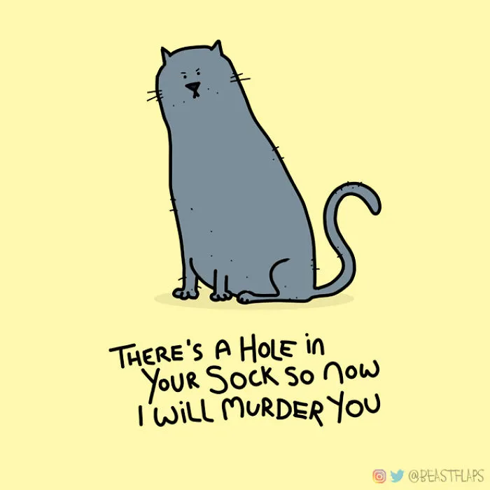 17 Pics Of Funny Grumpy Animals That I Will Continue To Draw Each Day Throughout 2020