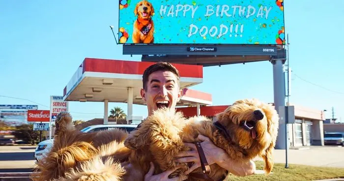 Man Rents A Whole Billboard To Let People Know It's His Dog's Birthday