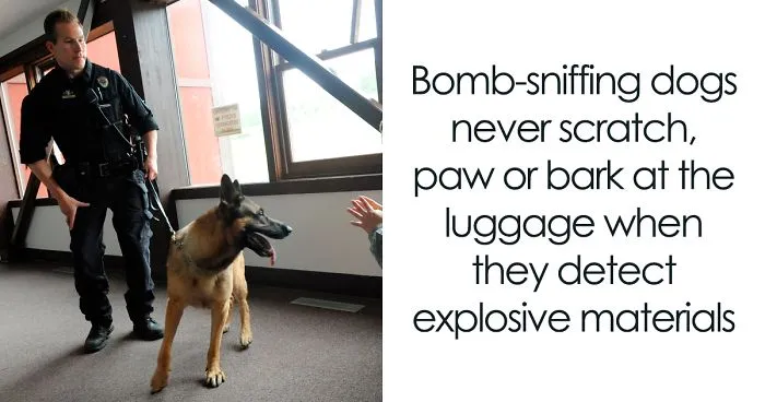 Here Are 30 Dog Facts That You Probably Didn't Know