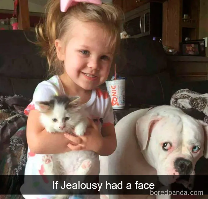 40 Funny And Cute Dog Snapchats That Will Hopefully Make Your Day